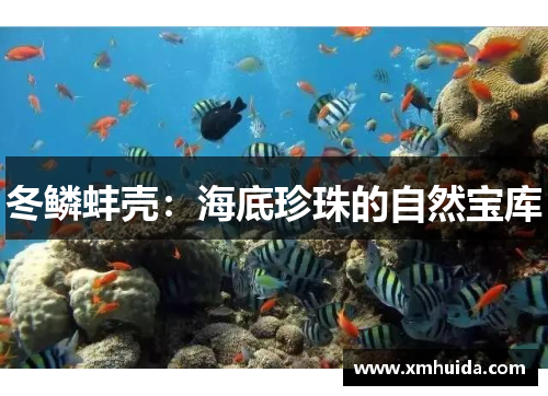 冬鳞蚌壳：海底珍珠的自然宝库